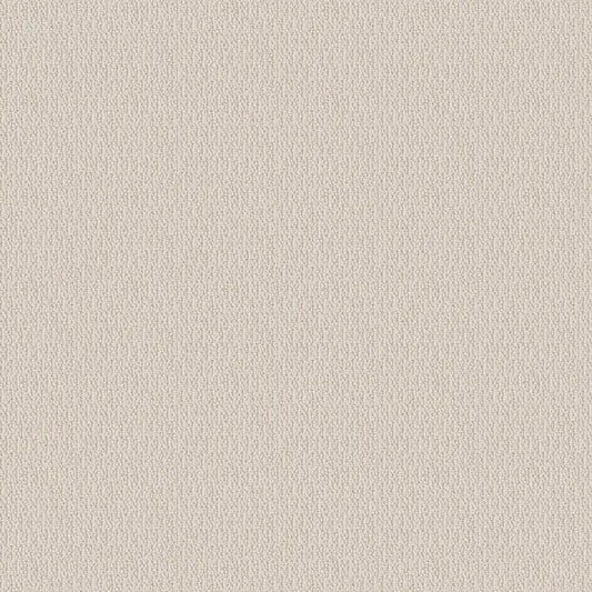 SHAW FLOORS - CARPET - SIMPLY THE BEST - LOOP DE LOOP - CANVAS