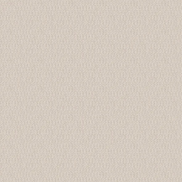 SHAW FLOORS - CARPET - SIMPLY THE BEST - LOOP DE LOOP - CANVAS