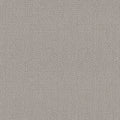 SHAW FLOORS - CARPET - SIMPLY THE BEST - LOOP DE LOOP - WARM GREIGE