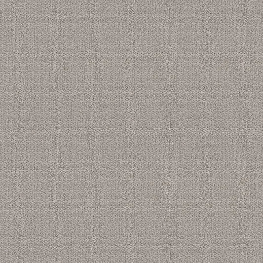 SHAW FLOORS - CARPET - SIMPLY THE BEST - LOOP DE LOOP - WARM GREIGE