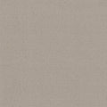 SHAW FLOORS - CARPET - SIMPLY THE BEST - LOOP DE LOOP - SANDSTONE