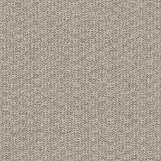 SHAW FLOORS - CARPET - SIMPLY THE BEST - LOOP DE LOOP - SANDSTONE