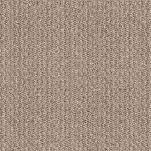 SHAW FLOORS - CARPET - SIMPLY THE BEST - LOOP DE LOOP - PEBBLE PATH