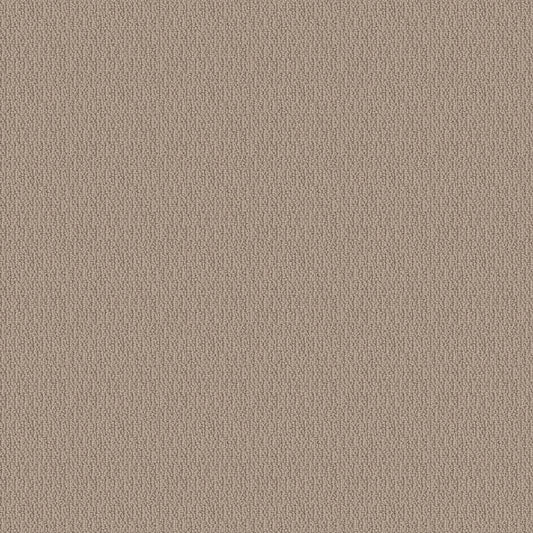 SHAW FLOORS - CARPET - SIMPLY THE BEST - LOOP DE LOOP - PEBBLE PATH