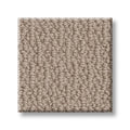 SHAW FLOORS - CARPET - SIMPLY THE BEST - LOOP DE LOOP - PEBBLE PATH