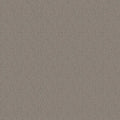 SHAW FLOORS - CARPET - SIMPLY THE BEST - LOOP DE LOOP - INDUSTRIAL