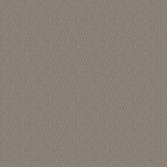 SHAW FLOORS - CARPET - SIMPLY THE BEST - LOOP DE LOOP - INDUSTRIAL