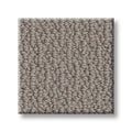 SHAW FLOORS - CARPET - SIMPLY THE BEST - LOOP DE LOOP - INDUSTRIAL