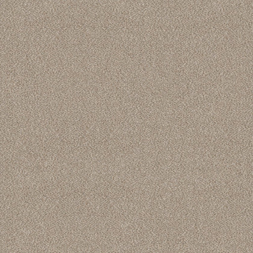 SHAW FLOORS - CARPET - SIMPLY THE BEST VALUES COLLECTION - TRUSPLENDOR - 12' - MIST
