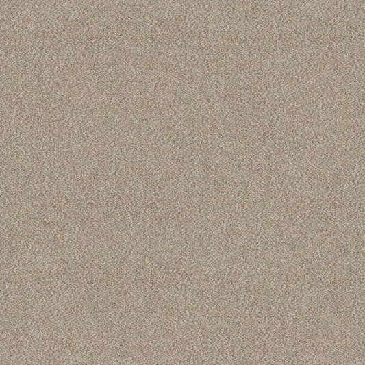 SHAW FLOORS - CARPET - SIMPLY THE BEST VALUES COLLECTION - TRUSPLENDOR - 12' - MIST