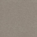 SHAW FLOORS - CARPET - SIMPLY THE BEST VALUES COLLECTION - TRUSPLENDOR - 12' - LADY LIBERTY