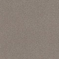 SHAW FLOORS - CARPET - SIMPLY THE BEST VALUES COLLECTION - TRUSPLENDOR - 12' - CONCRETE