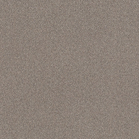 SHAW FLOORS - CARPET - SIMPLY THE BEST VALUES COLLECTION - TRUSPLENDOR - 12' - CONCRETE