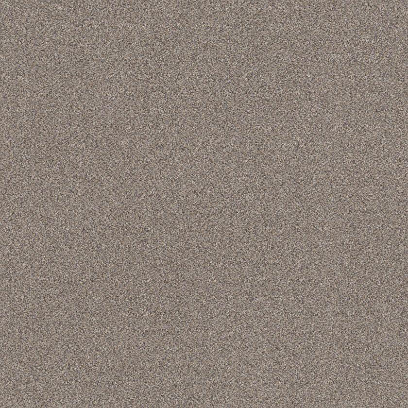 SHAW FLOORS - CARPET - SIMPLY THE BEST VALUES COLLECTION - TRUSPLENDOR - 12' - CONCRETE