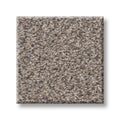 SHAW FLOORS - CARPET - SIMPLY THE BEST VALUES COLLECTION - TRUSPLENDOR - 12' - CONCRETE