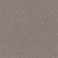 SHAW FLOORS - CARPET - SIMPLY THE BEST VALUES COLLECTION - TRUSPLENDOR - 12' - STAINLESS