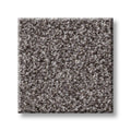SHAW FLOORS - CARPET - SIMPLY THE BEST VALUES COLLECTION - TRUSPLENDOR - 12' - QUARRY