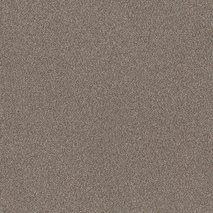 SHAW FLOORS - CARPET - SIMPLY THE BEST VALUES COLLECTION - TRUSPLENDOR - 12' - COBBLE DRIVE