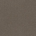 SHAW FLOORS - CARPET - SIMPLY THE BEST VALUES COLLECTION - TRUSPLENDOR - 12' - CITY SCAPE