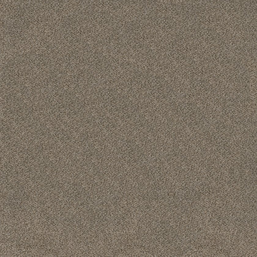 SHAW FLOORS - CARPET - SIMPLY THE BEST VALUES COLLECTION - TRUSPLENDOR - 12' - TRUFFLE