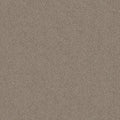 SHAW FLOORS - CARPET - SIMPLY THE BEST VALUES COLLECTION - TRUSPLENDOR - 12' - TIMELESS TAN