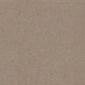 SHAW FLOORS - CARPET - SIMPLY THE BEST VALUES COLLECTION - TRUSPLENDOR - 12' - COTTAGE