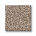 SHAW FLOORS - CARPET - SIMPLY THE BEST VALUES COLLECTION - TRUSPLENDOR - 12' - COTTAGE