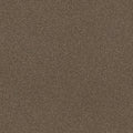 SHAW FLOORS - CARPET - SIMPLY THE BEST VALUES COLLECTION - TRUSPLENDOR - 12' - CHESTNUT