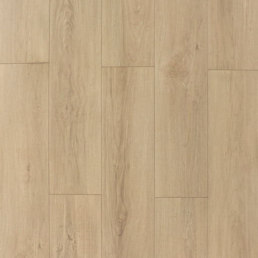 Cyrus Floors - Maple Essence Collection - Almond