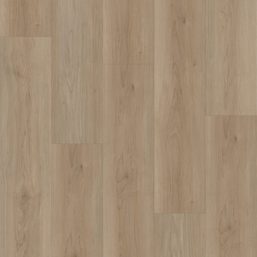 Cyrus Floors - Maple Essence Collection - Toffee