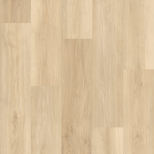 Cyrus Floors - Maple Essence Collection - Canvas
