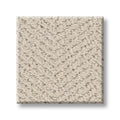 Shaw Floors - Carpet- Simply The Best - Highland Twill - Scotch Mist
