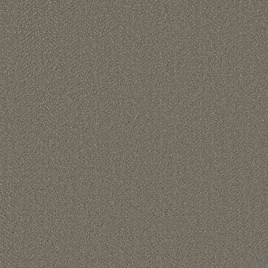 Shaw Floors - Carpet- Simply The Best - Highland Twill - Fallen Acorn