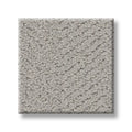 Shaw Floors - Carpet- Simply The Best - Highland Twill - Sterling