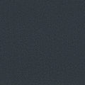 Shaw Floors - Carpet - Classics Collection  - Awaken Spirit II - 15' - Midnight Sky