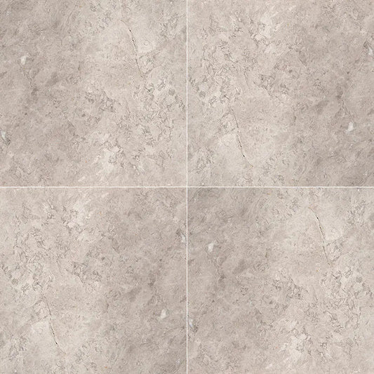 MSI - TUNDRA GRAY - Tile - 12" x 12"