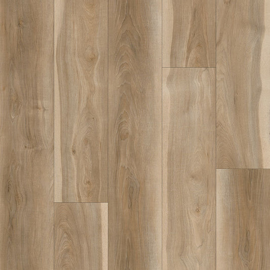 MSI Surfaces - Andover Collection - Bayhill Blonde