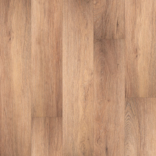 MSI Surfaces - Andover Collection - Bellamy Brooks