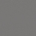 Shaw Floors - Carpet - Classics Collection  - Awaken Spirit I 12'- Magnetic