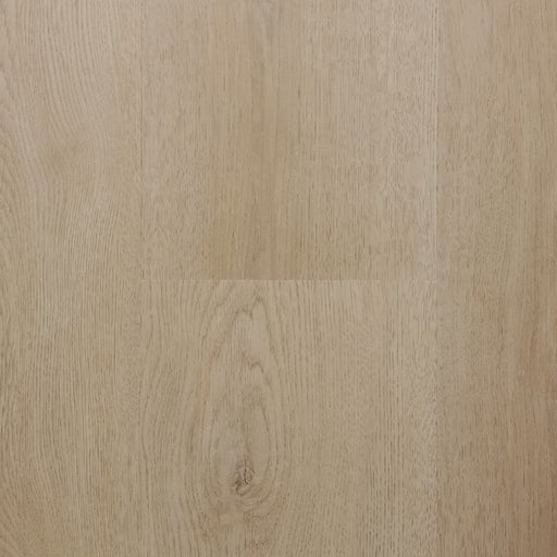 Pontek - SPC Collection - Magnolia