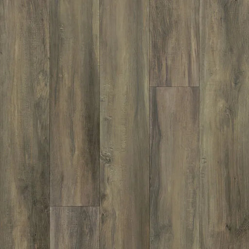 Primco - Estates Laminate - Transcend Collection - Marsh