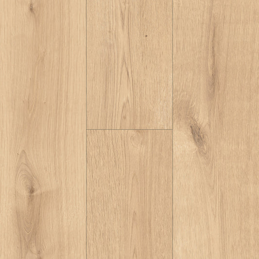 InHaus - Ceramin® - Icon Collection - Melville