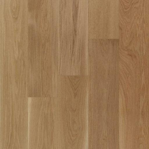 Vidar - West Coast - Milky Way " - 5' - AB