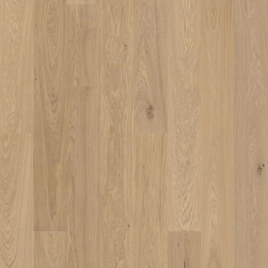 BJELIN - WOODURA - NATURE COLLECTION - XXL FORMAT - OAK - MISTY WHITE