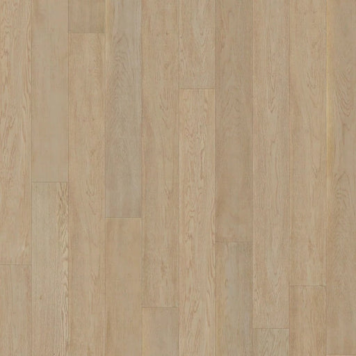 Caledon - Origins Collection - Monterey