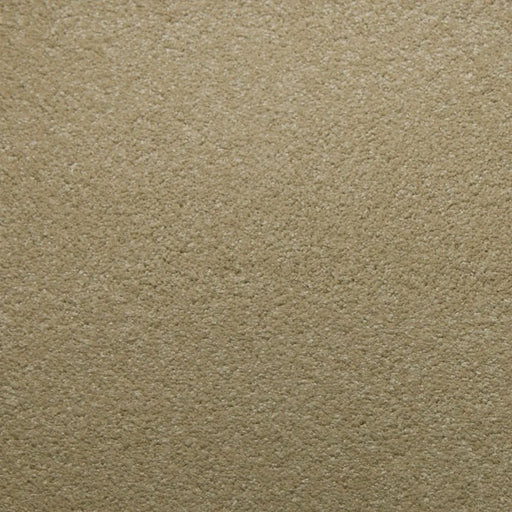 Primco - Estates Carpet - Soft Spoken Collection - Moonstone