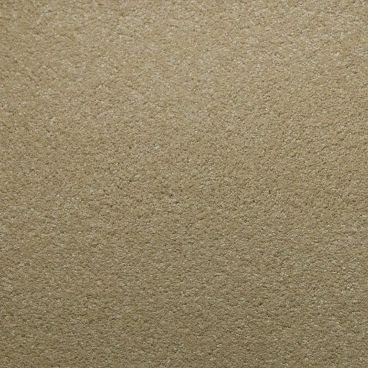 Primco - Estates Carpet - Tender Collection - Moonstone