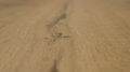 Grandeur Flooring - Engineered Hardwood - Metropolitan Collection - Moraine