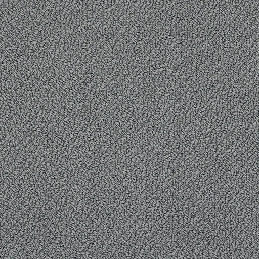 Shaw Floors - Carpet- Foundations Collection - Night Club