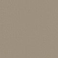 Shaw Floors - Carpet - Classics Collection  - Awaken Spirit II - 15' - Neutral Ground